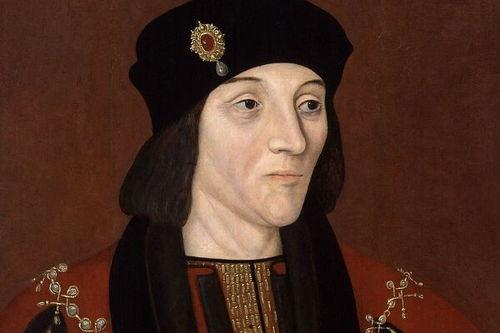 亨利七世 冬日国王,冬日国王的崛起与统治