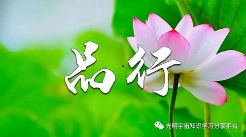 明亮的心,明亮之心的人生启示录