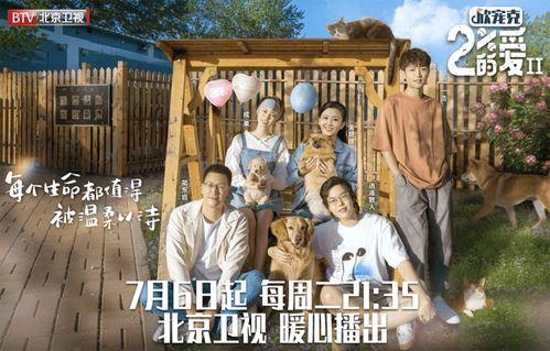 爱之乡 第二季,情感交织的温馨续篇