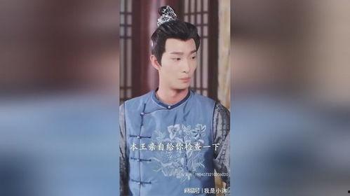 四爷的心尖宠妃,倾世妃子的宫廷传奇