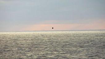 海洋绿洲,揭秘深海中的生命奇迹