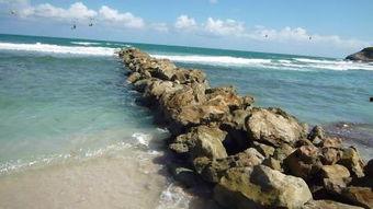 海洋绿洲,揭秘深海中的生命奇迹