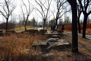 不辞春色,春日美景赏析之旅