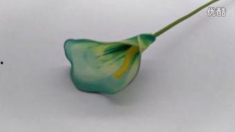 蓝色马蹄莲,绽放的神秘与优雅