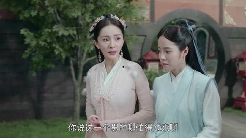 后宫雁,宫廷权谋与爱恨情仇的交织